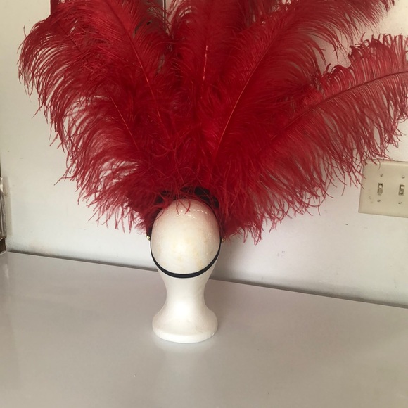 Gently worn custom made showgirl/carnival costume - Picture 13 of 14